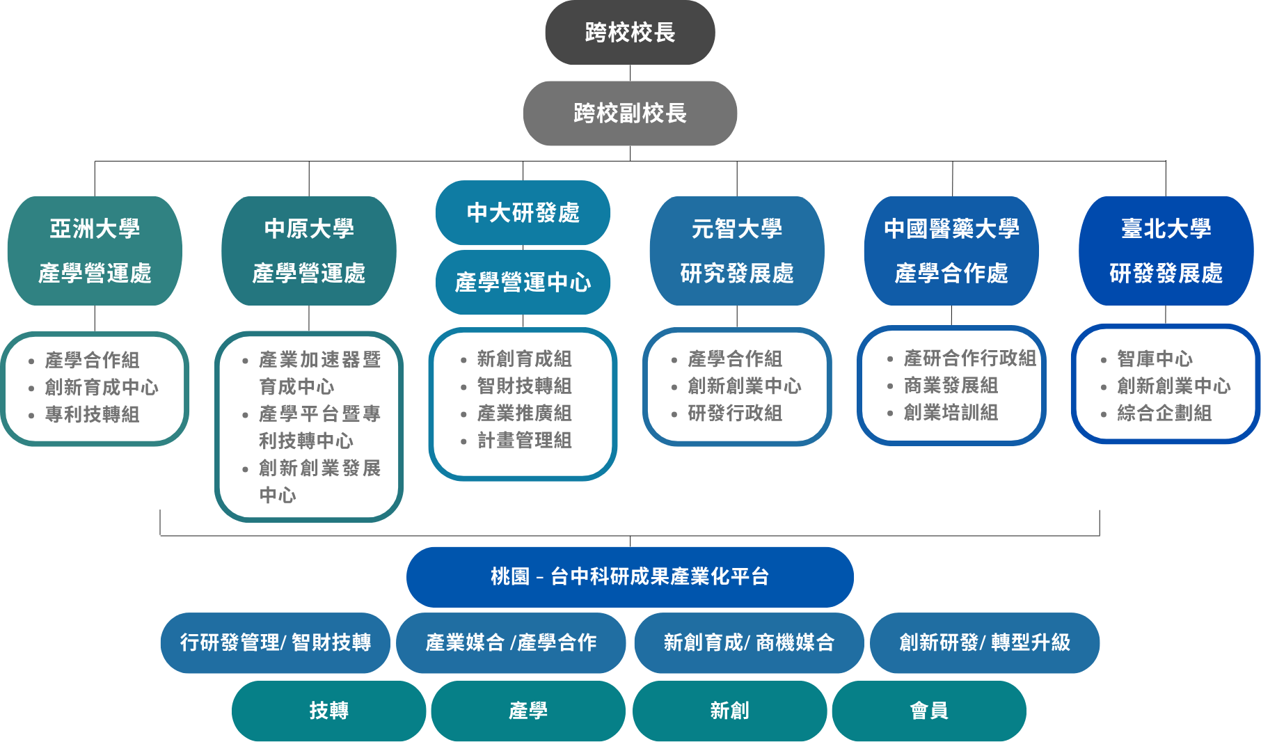 組織架構圖說明如下，由亞洲大學、中原大學、中央大學、元智大學、中國醫藥大學、台北大學共同組織，配合桃園-台中科研成果產業化平台提供多項服務。